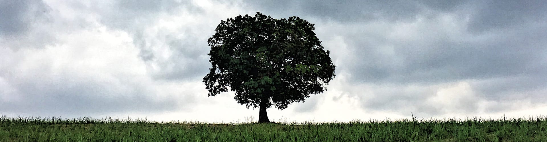 What Does The Word Restoration Mean In The Bible BEST HOME DESIGN IDEAS